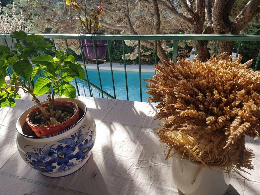 Etage Prive Dans Maison Chaleureuse Avec Piscine * Antibes